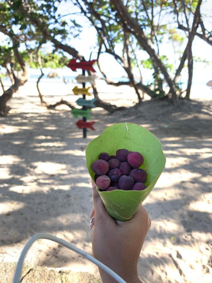 דירות פוארטו פלטה Mar Azul 401 מראה חיצוני תמונה